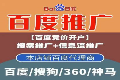 SEM推广实战：成功案例解读与策略调整